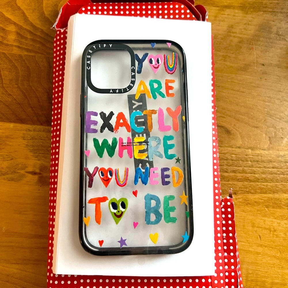 Brand new Casetify IPhone 13 Pro phone case!